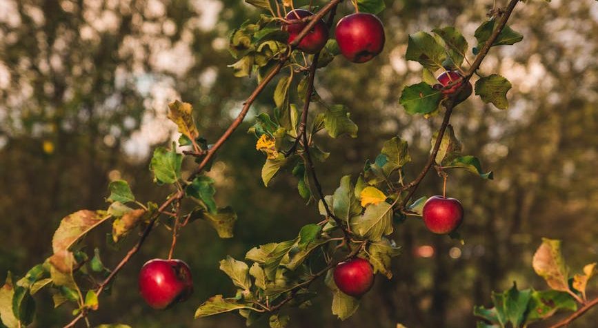 My Week in Words: Ode to&nbsp;Nature